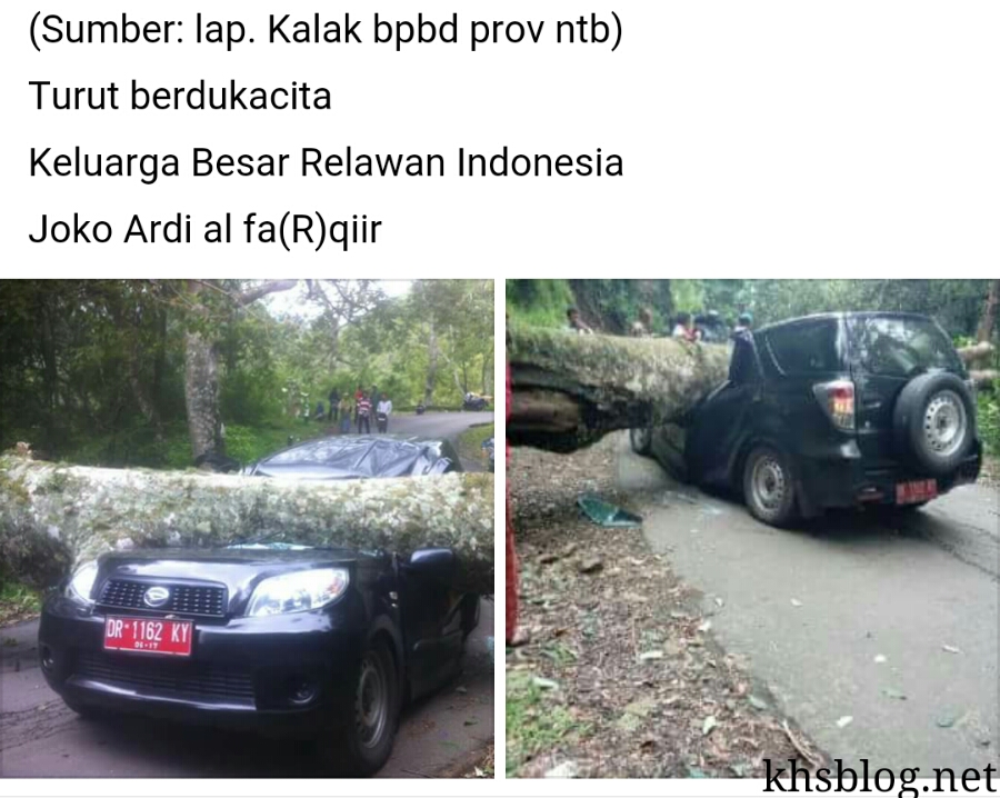 pohon besar menimpa mobil dinas camat sembalun lombok timur NTB hari jum'at tanggal 11 Maret 2016