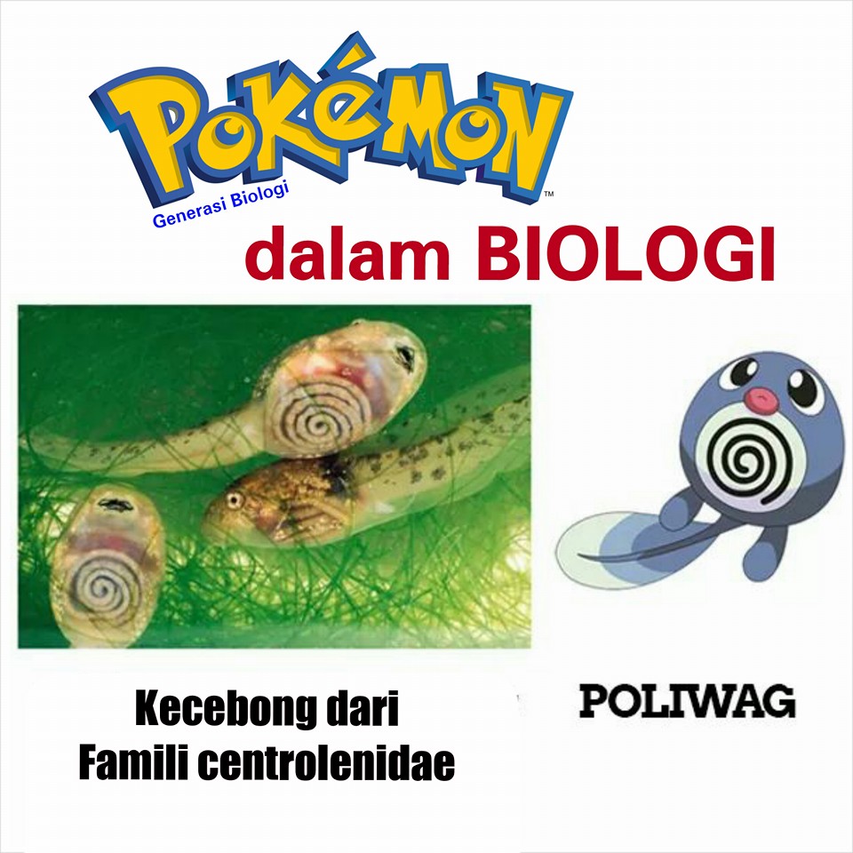 karakter pokemon dalam ilmu biologi atau kehidupan nyata (1)