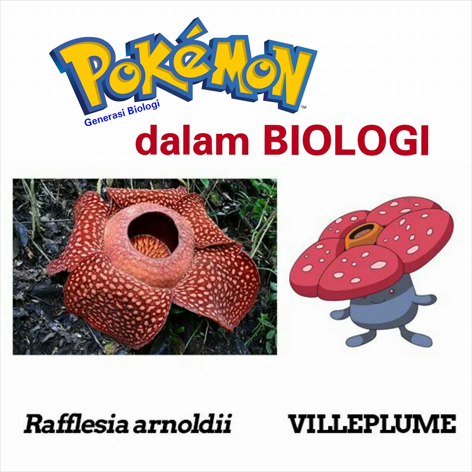 karakter pokemon dalam ilmu biologi atau kehidupan nyata (4)