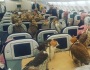 Gile…ada 80 burung elang naik pesawat di Arab Saudi
